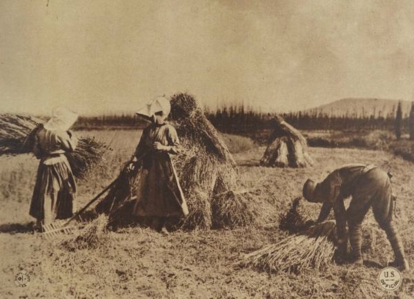Photo of an American soldier helping women with farm work in France