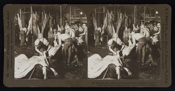Packing house in Chicago in 1906