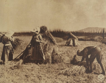 Photo of an American soldier helping women with farm work in France
